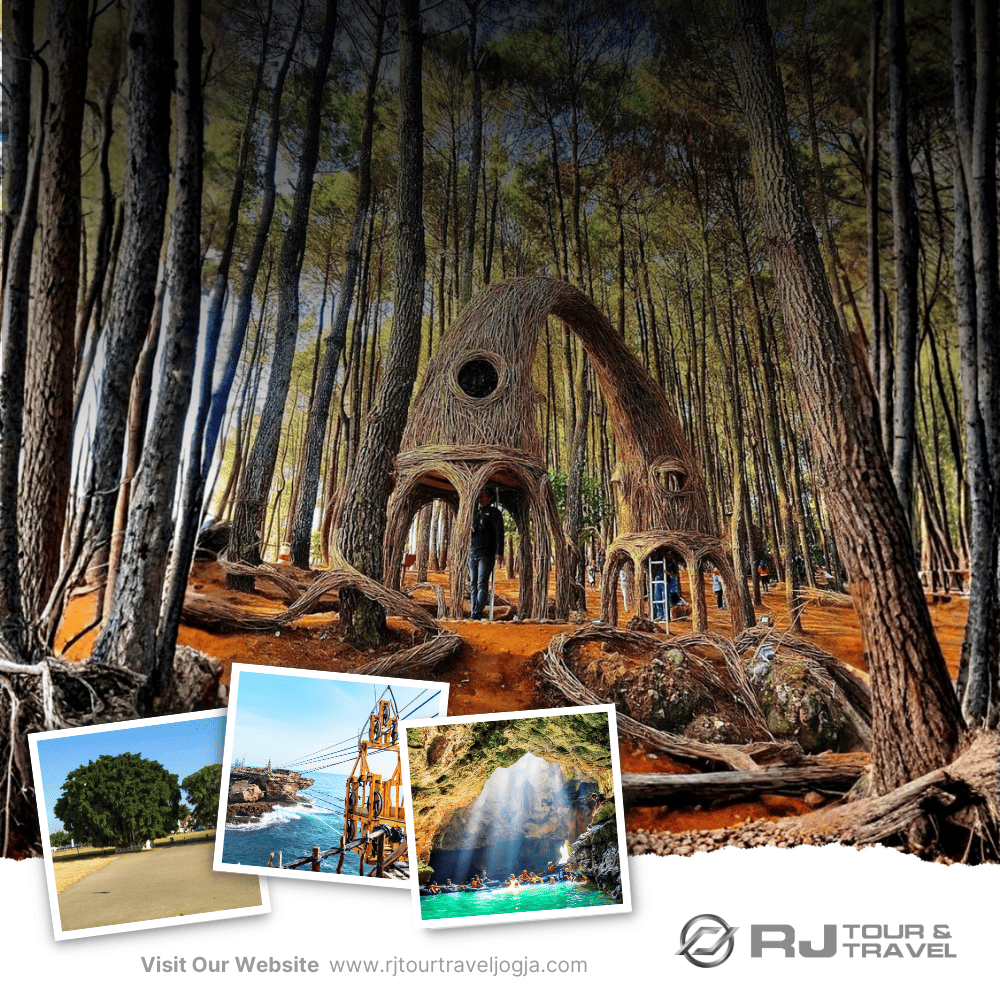 Paket Wisata 1 Hari C